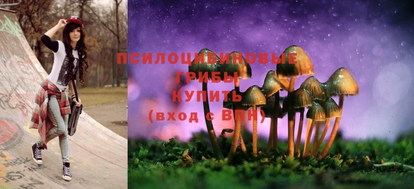 кокс Абаза