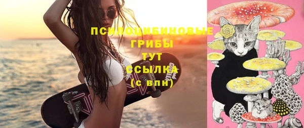 бутират Алексеевка
