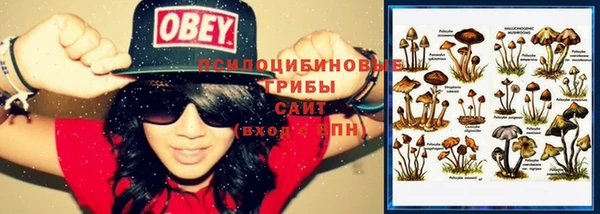 кристаллы Абдулино