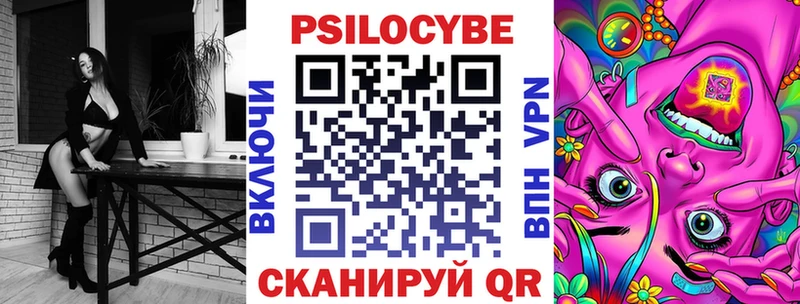 KRAKEN зеркало  Алексин  Галлюциногенные грибы Cubensis 